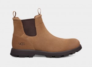 Botas Chelsea Ugg Hillmont Hombre Marrones | Argentina SWMUNAL-19