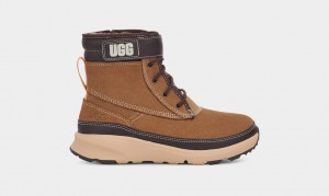 Botas Ugg Arren Weather Niños Marrones | Argentina XKSLEYC-97