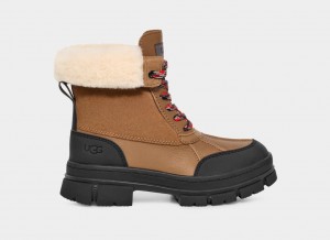 Botas Ugg Ashton Addie Mujer Marrones | Argentina XIEPCLT-61