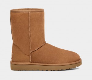 Botas Ugg Classic Hombre Marrones | Argentina EJWUNOX-94