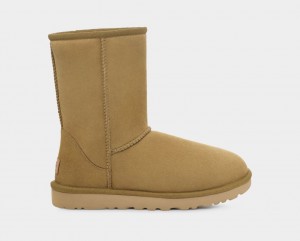 Botas Ugg Classic II Mujer Marrones | Argentina ZPUDEHM-75