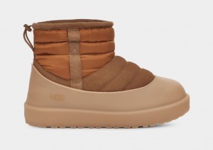 Botas Ugg Classic Mini Pull-On Weather Hombre Marrones | Argentina OQJTPNE-98