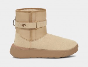 Botas Ugg Classic S Hombre Marrones | Argentina MXRYBGA-96