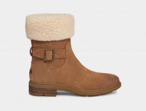 Botas Ugg Harrison Cuff Mujer Marrones | Argentina LBVCKAU-31