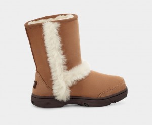 Botas Ugg Sunburst Mujer Marrones | Argentina UFHYBQZ-04