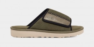 Chanclas Ugg Goldencoast Hombre Verde | Argentina FZLMUST-96