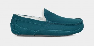 Mocasines Ugg Ascot Hombre Azules | Argentina MQXEBJF-51