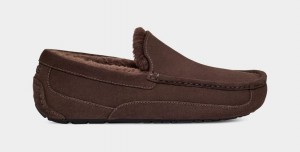 Mocasines Ugg Ascot Hombre Marrones | Argentina SXAKCTP-50