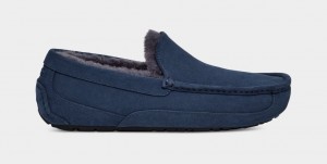 Pantuflas Ugg Ascot Hombre Azules | Argentina FWKIXER-16