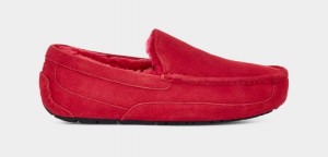 Pantuflas Ugg Ascot Hombre Rojas | Argentina TKFJYZU-08