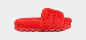 Pantuflas Ugg Cozetta Curly Mujer Rojas | Argentina FRKNLHI-53