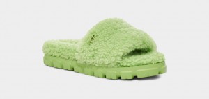 Pantuflas Ugg Cozetta Curly Mujer Verde | Argentina NSJEUHO-46