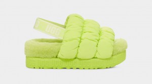 Pantuflas Ugg Scrunchita Mujer Verde | Argentina APBKNFJ-31