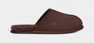 Pantuflas Ugg Scuff Hombre Marrones | Argentina WQPETKJ-62