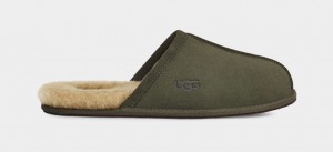 Pantuflas Ugg Scuff Hombre Verde Oliva | Argentina XHSJQZB-25