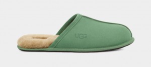 Pantuflas Ugg Scuff Hombre Verde | Argentina FOSJAIC-23