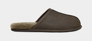 Pantuflas Ugg Scuff Leather Hombre Verde Oliva | Argentina KNVXTLQ-52