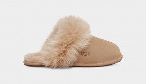 Pantuflas Ugg Scuff Sis Mujer Marrones | Argentina QIXRTVC-94