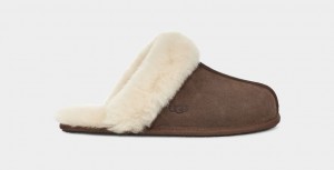 Pantuflas Ugg Scuffette II Mujer Marrones | Argentina ZNXRISL-21