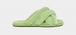 Pantuflas Ugg Scuffita Mujer Verde | Argentina LAZMDPF-26