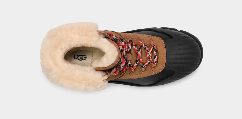 Botas Ugg Adiroam Hiker Mujer Marrones | Argentina QUSNFKH-91