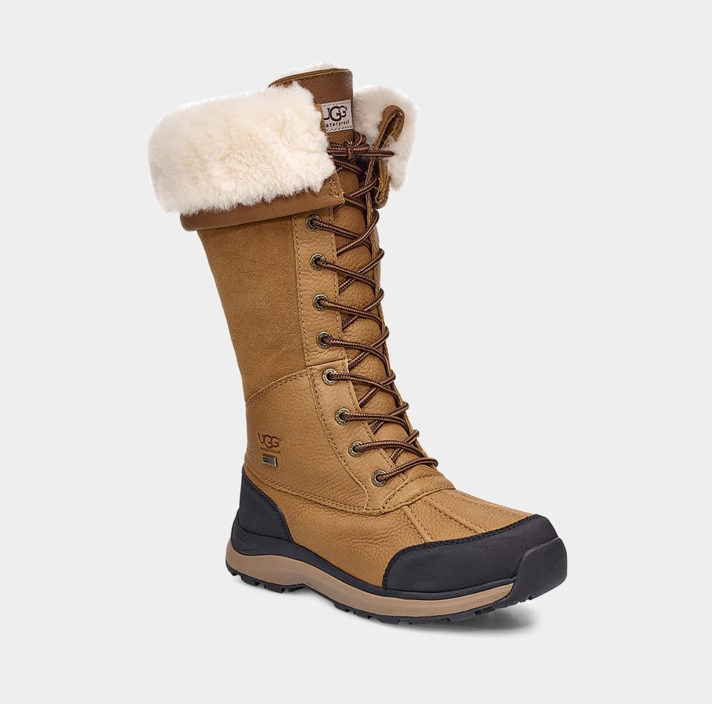 Botas Ugg Adirondack III Tall Mujer Marrones | Argentina JHUGESC-72