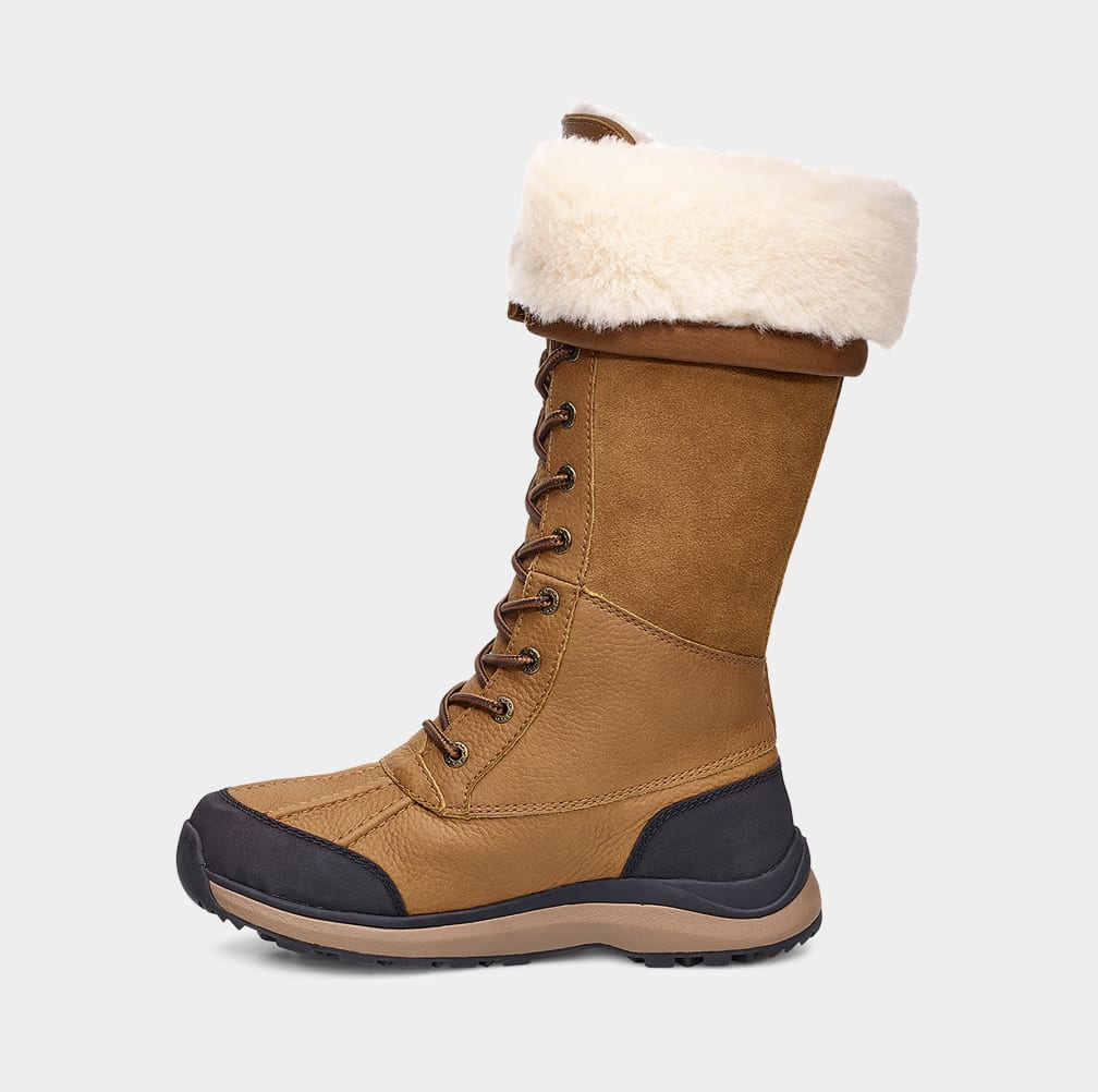 Botas Ugg Adirondack III Tall Mujer Marrones | Argentina JHUGESC-72