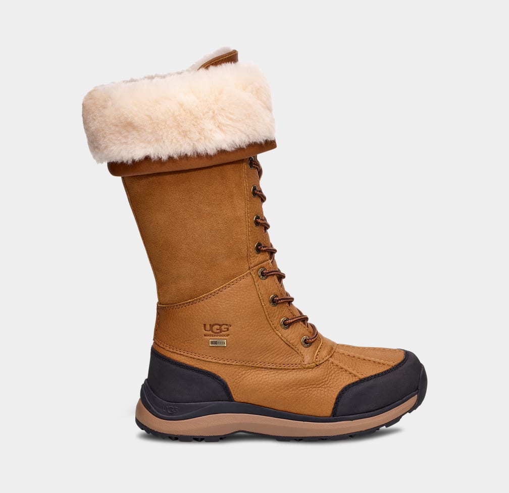 Botas Ugg Adirondack III Tall Mujer Marrones | Argentina JHUGESC-72