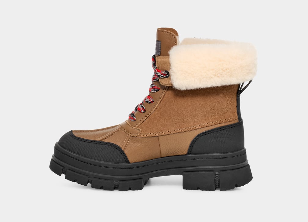 Botas Ugg Ashton Addie Mujer Marrones | Argentina XIEPCLT-61