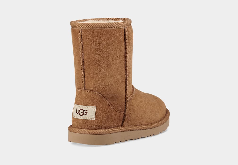 Botas Ugg Classic II Niños Marrones | Argentina EGFABRW-16