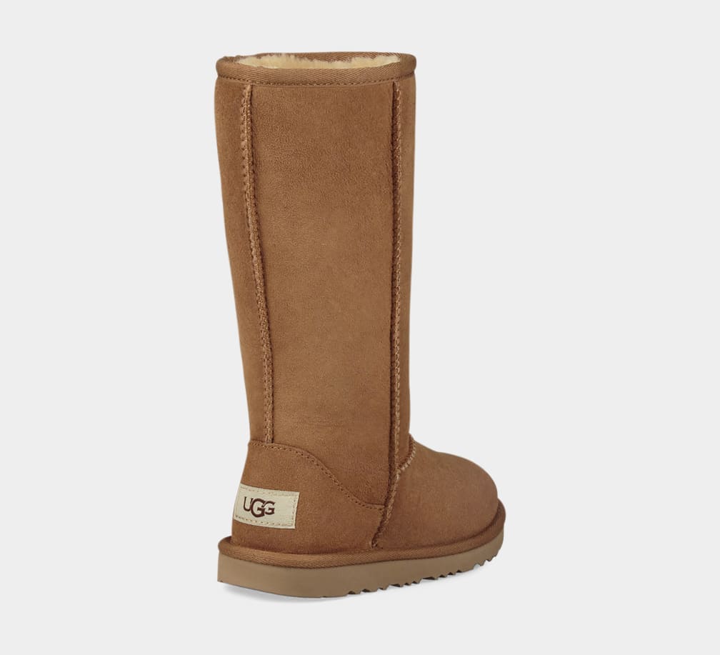 Botas Ugg Classic II Tall Niños Marrones | Argentina YEODAQP-38