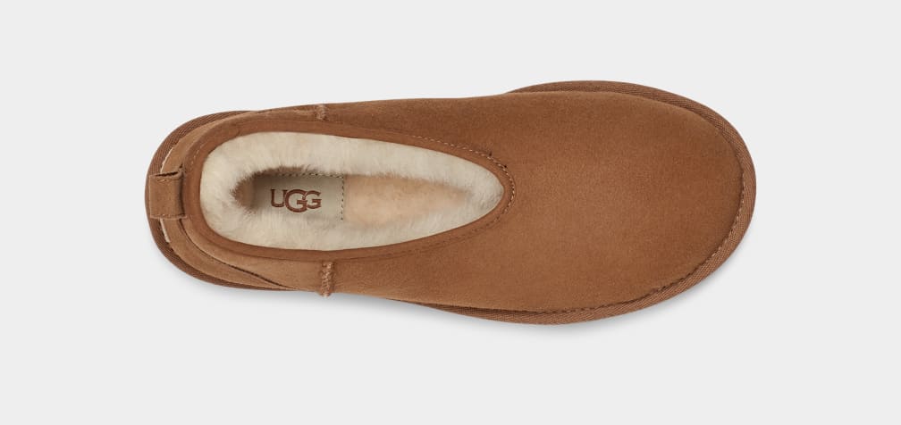 Botas Ugg Classic Micro Mini Mujer Marrones | Argentina BLHXKGS-92