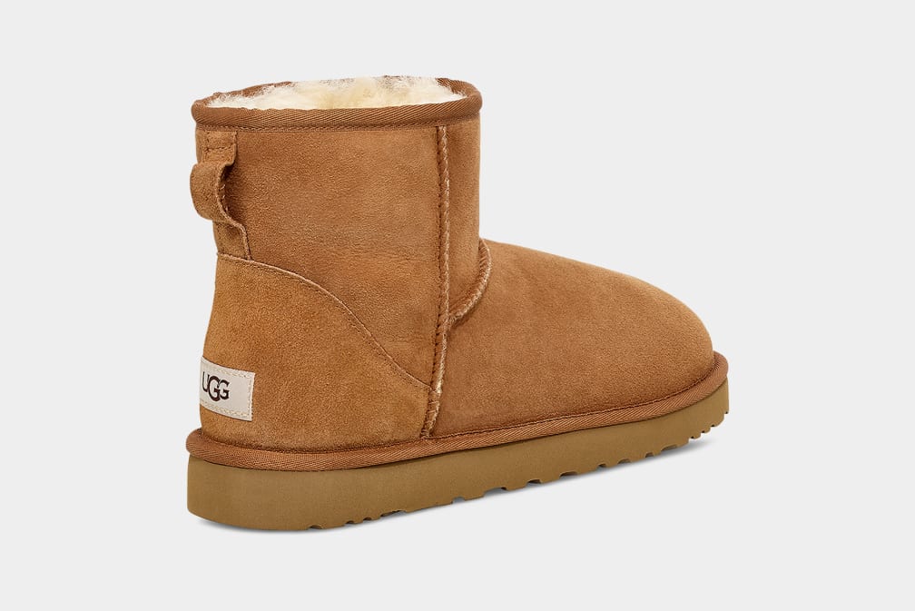 Botas Ugg Classic Mini Hombre Marrones | Argentina EBXWPZA-51