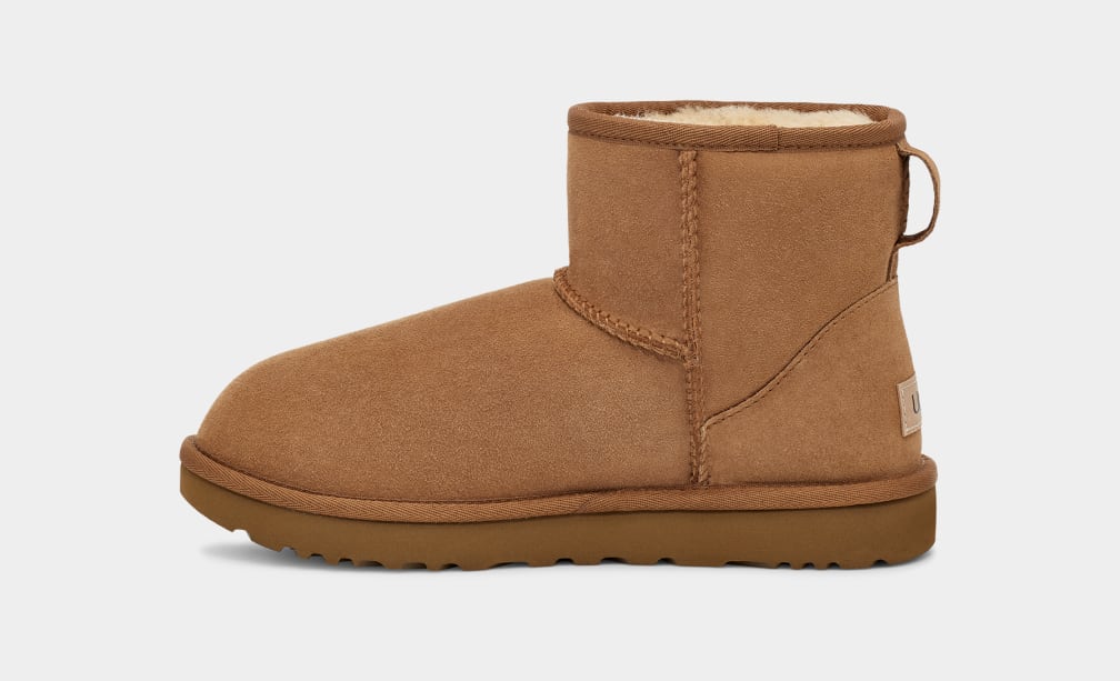 Botas Ugg Classic Mini II Mujer Marrones | Argentina IXNWCGB-59