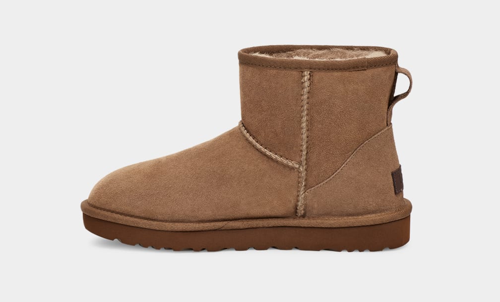 Botas Ugg Classic Mini II Mujer Marrones | Argentina MIFRCBZ-60