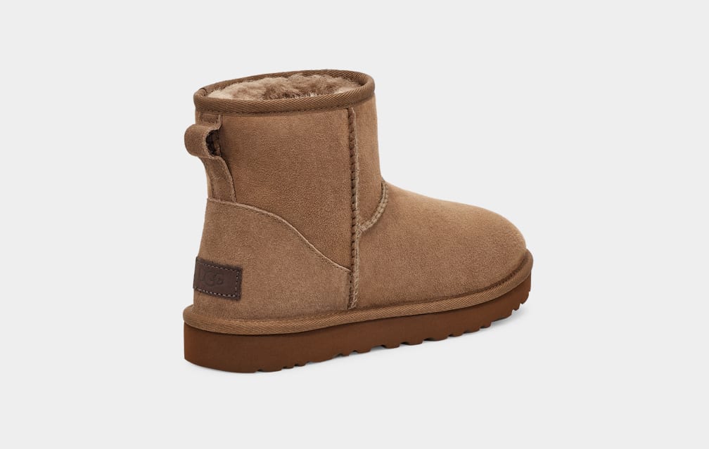 Botas Ugg Classic Mini II Mujer Marrones | Argentina MIFRCBZ-60