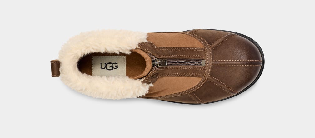 Botas Ugg Hapsburg Zip Mujer Marrones | Argentina KSHCDWZ-57