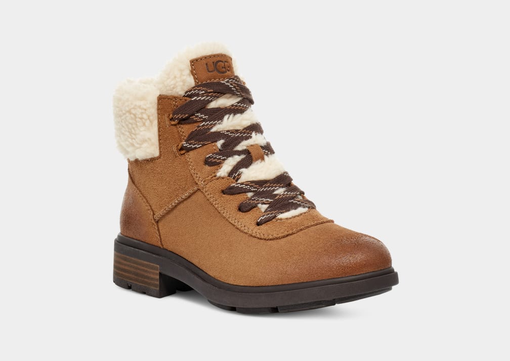 Botas Ugg Harrison Cozy Lace Mujer Marrones | Argentina VTKYCFM-97