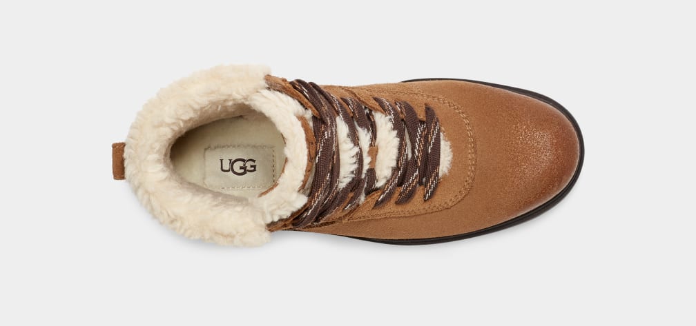 Botas Ugg Harrison Cozy Lace Mujer Marrones | Argentina VTKYCFM-97