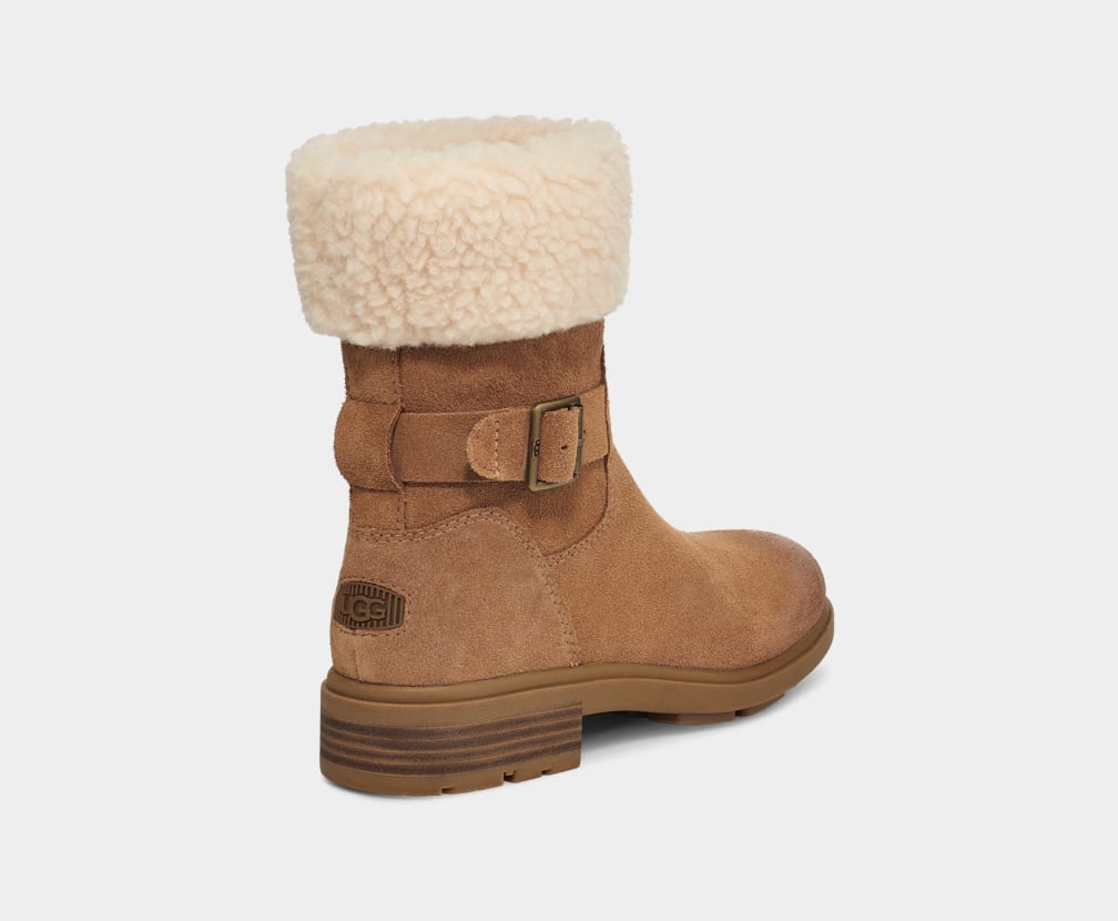 Botas Ugg Harrison Cuff Mujer Marrones | Argentina LBVCKAU-31