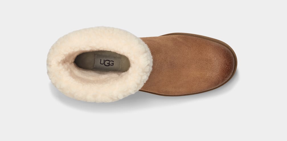 Botas Ugg Harrison Cuff Mujer Marrones | Argentina LBVCKAU-31