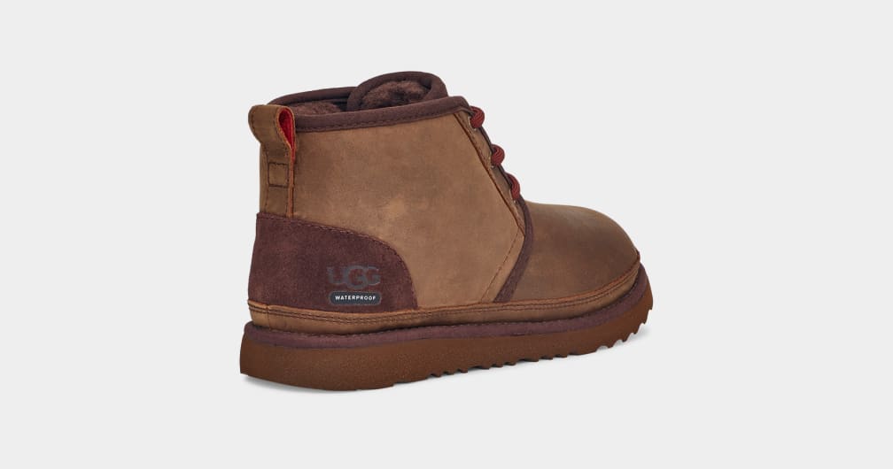 Botas Ugg Neumel II Weather Niños Marrones | Argentina SIFMECK-85