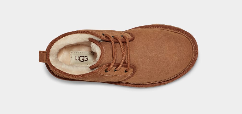 Botas Ugg Neumel Mujer Marrones | Argentina EXIHKSD-19