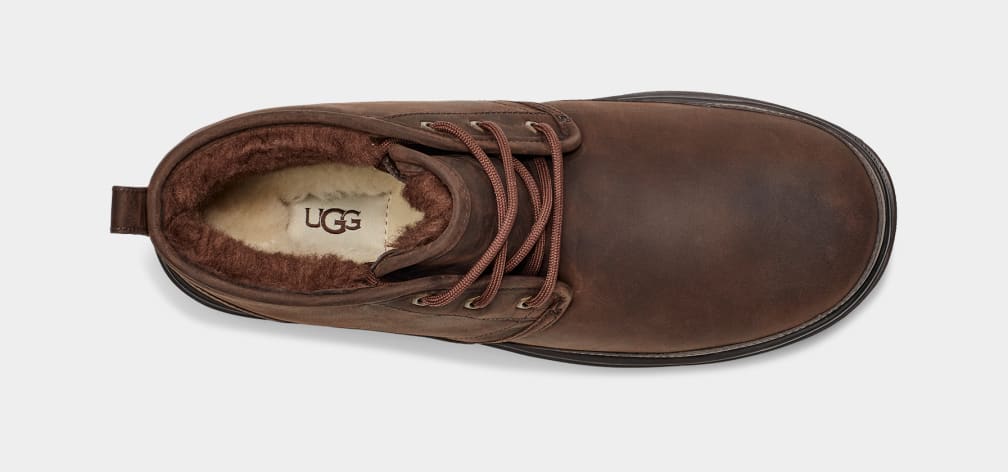 Botas Ugg Neumel Weather II Hombre Marrones | Argentina NSLIGHM-98