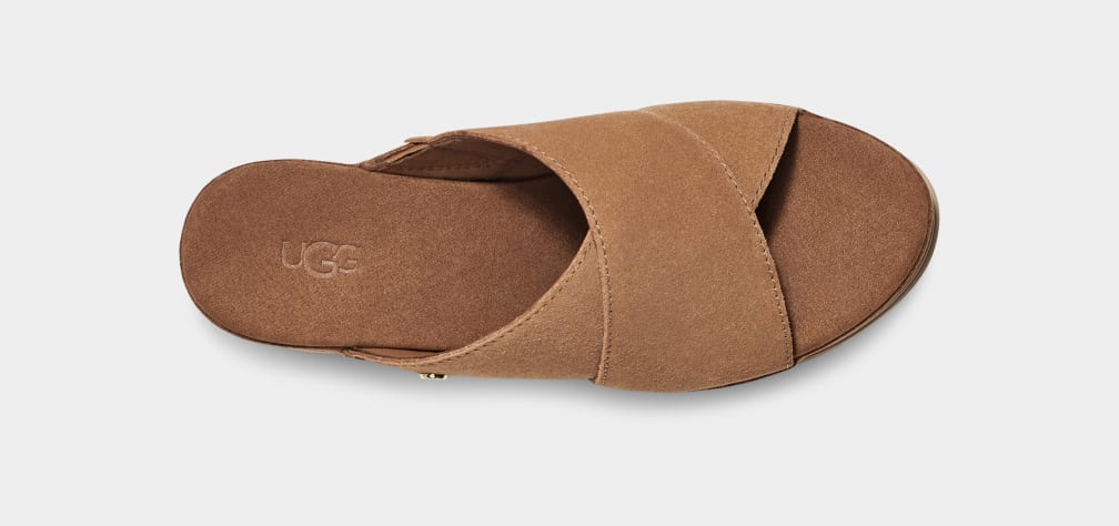 Chanclas Ugg Abbot Mujer Marrones | Argentina WKCGAZE-29