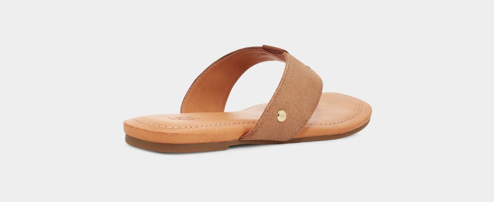 Chanclas Ugg Carey Flip Suede Mujer Marrones | Argentina DKPBMSG-59