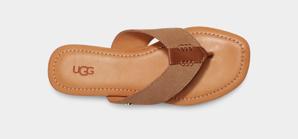 Chanclas Ugg Carey Flip Suede Mujer Marrones | Argentina DKPBMSG-59