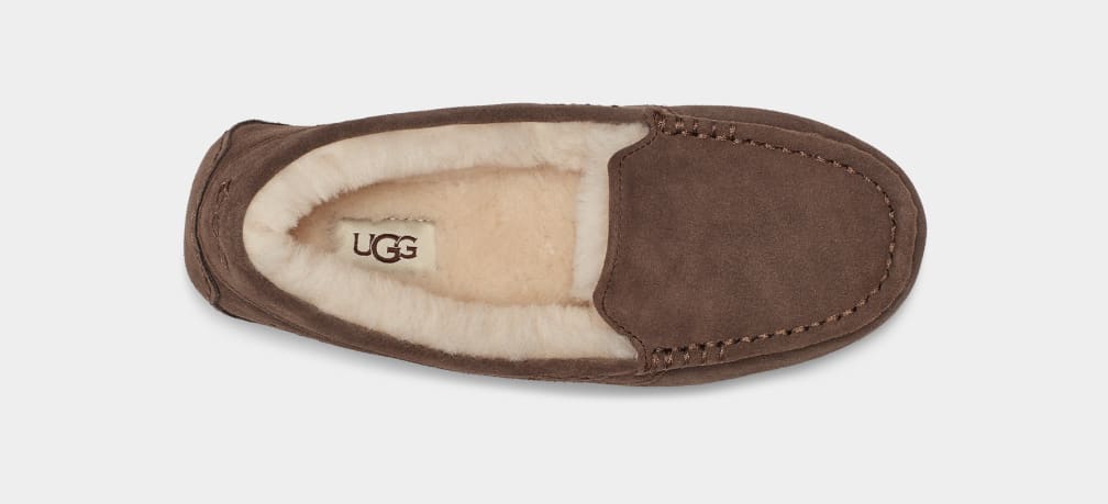 Mocasines Ugg Ansley Mujer Chocolate | Argentina QIBTELG-60