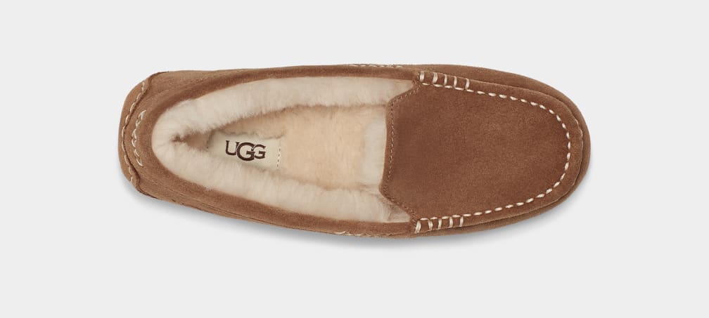 Mocasines Ugg Ansley Mujer Marrones | Argentina CDRNTOQ-57