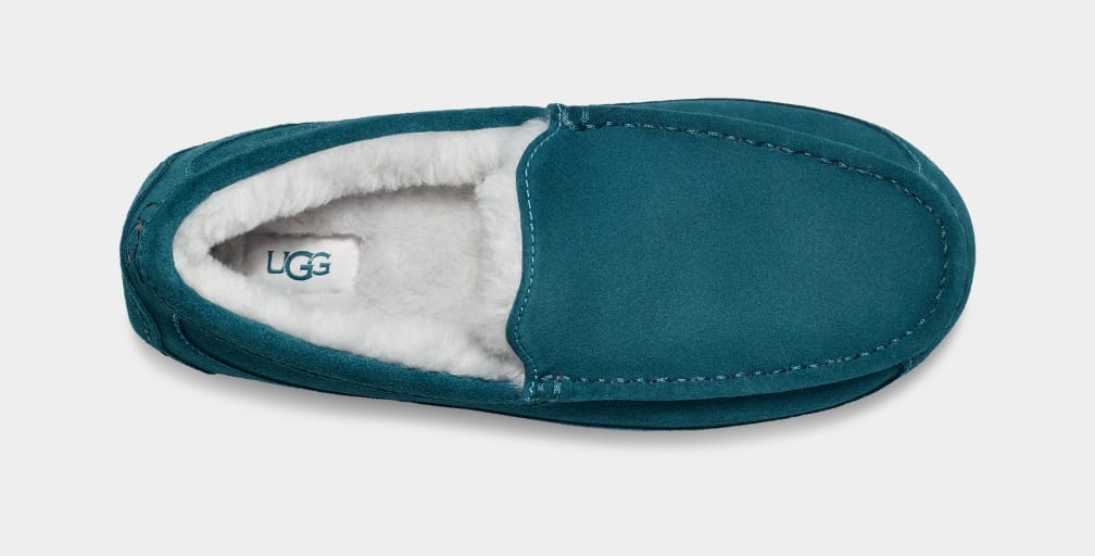 Mocasines Ugg Ascot Hombre Azules | Argentina MQXEBJF-51